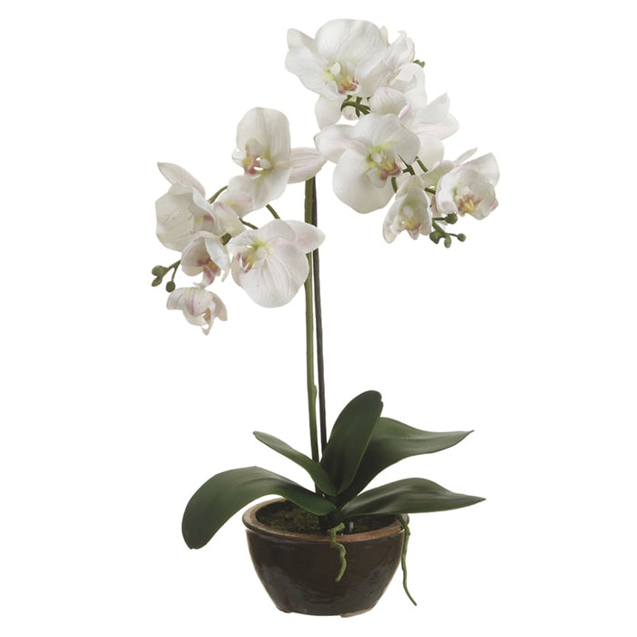 20" Silk Phalaenopsis Orchid Flower Arrangement w/Ceramic Pot -White (pack of 4) - LFO310-WH