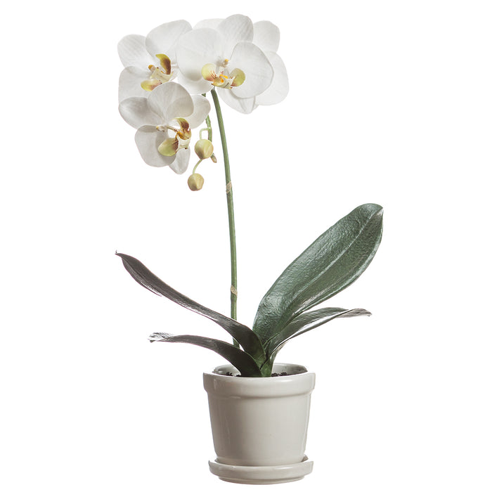 15.5" Silk Phalaenopsis Orchid Flower Arrangement w/Stoneware Pot -White (Pack of 4) - LFO374-WH