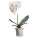 15.5" Silk Phalaenopsis Orchid Flower Arrangement w/Stoneware Pot -White (Pack of 4) - LFO374-WH