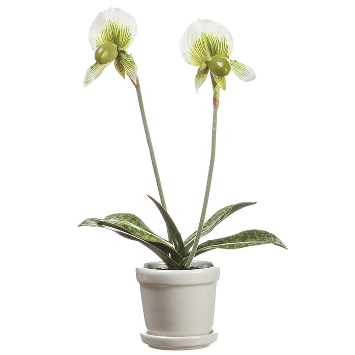 15" Silk Lady's Slipper Orchid Flower Arrangement w/Stoneware Pot -Green/Cream (pack of 4) - LFO376-GR/CR