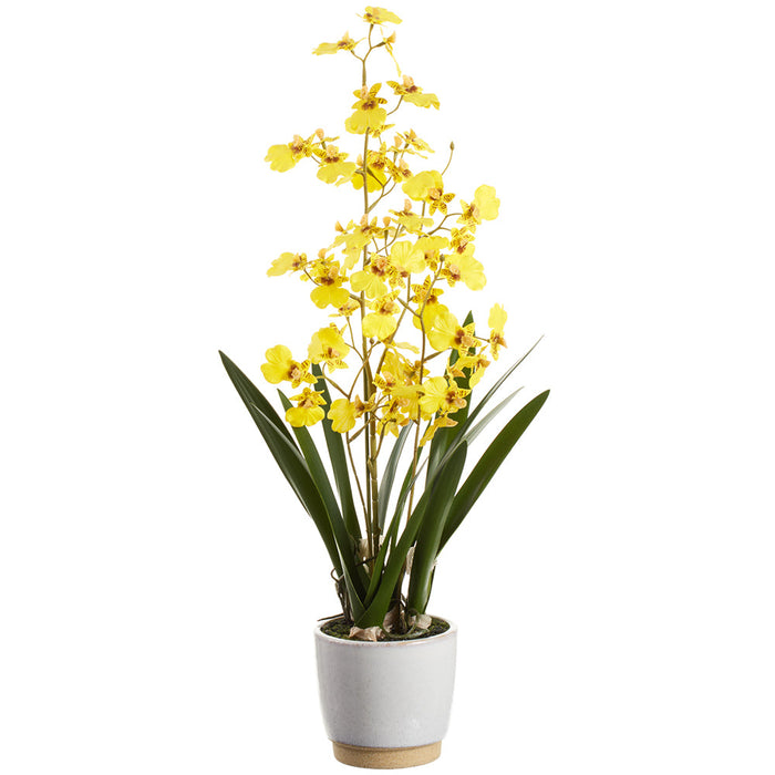 22" Oncidium Orchid Silk Flower Arrangement w/Ceramic Vase -Yellow (Pack of 6) - LFO442-YE