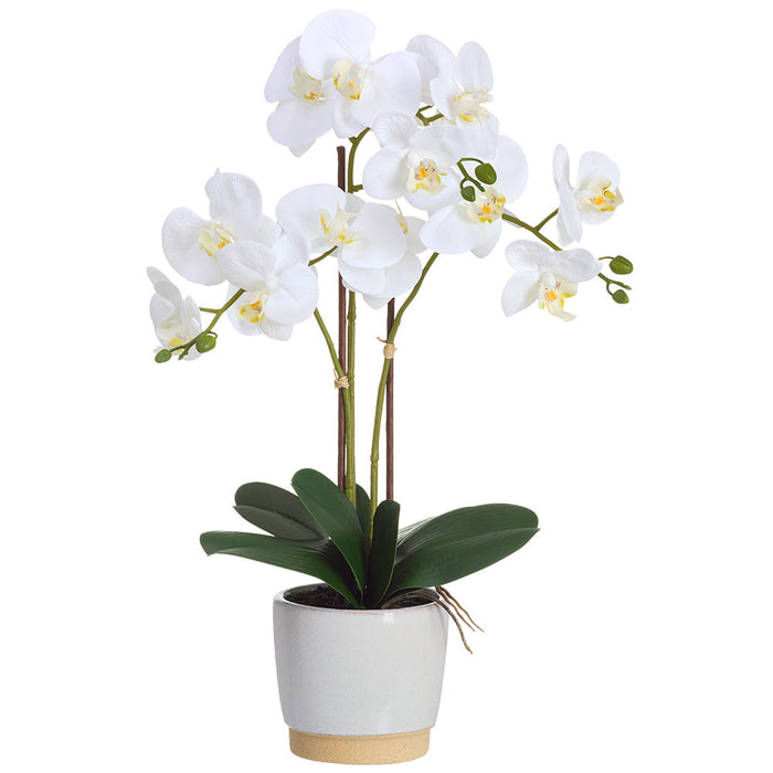 23" Phalaenopsis Orchid Silk Flower Arrangement w/Ceramic Vase -White (Pack of 4) - LFO443-WH
