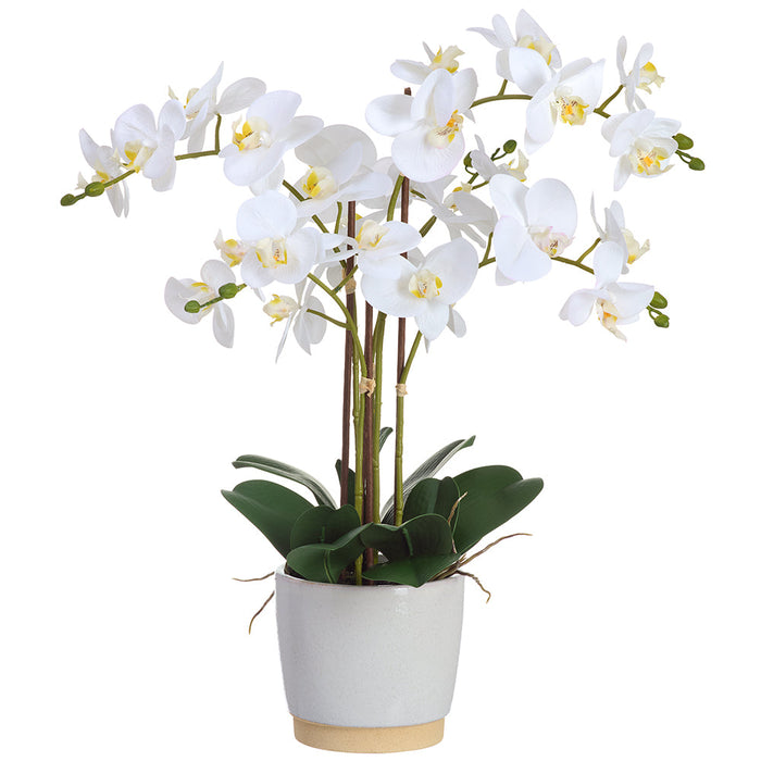26" Phalaenopsis Orchid Silk Flower Arrangement w/Ceramic Vase -White (Pack of 2) - LFO445-WH