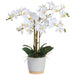 26" Phalaenopsis Orchid Silk Flower Arrangement w/Ceramic Vase -White (Pack of 2) - LFO445-WH
