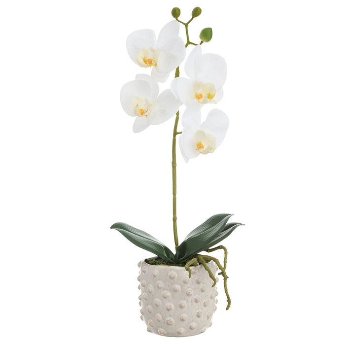 15.5" Phalaenopsis Orchid Silk Flower Arrangement w/Ceramic Vase -White (Pack of 6) - LFO470-WH