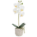 15.5" Phalaenopsis Orchid Silk Flower Arrangement w/Ceramic Vase -White (Pack of 6) - LFO470-WH