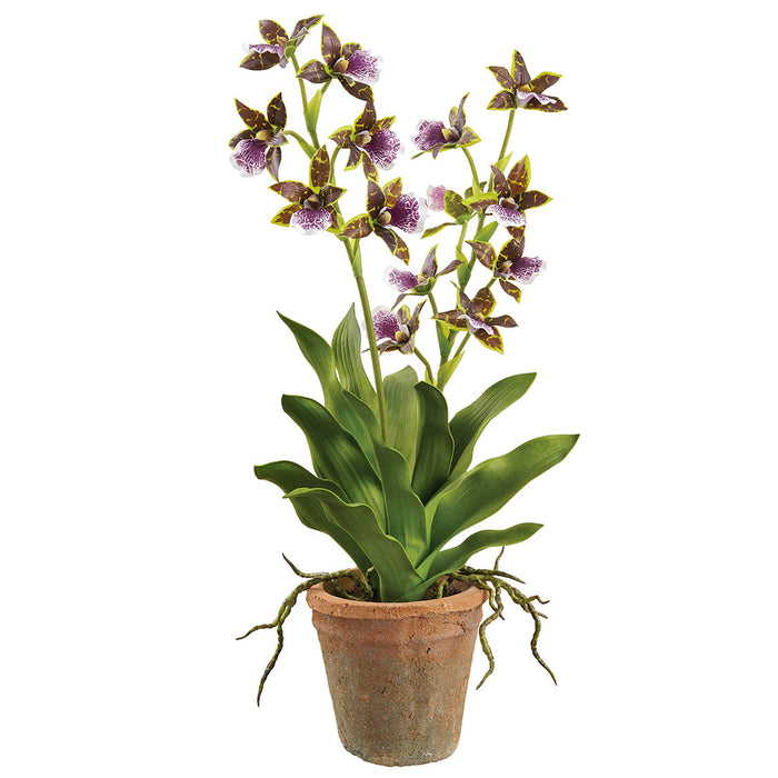 21" Cattleya Orchid Silk Flower Arrangement w/Clay Pot -Purple (Pack of 4) - LFO577-PU