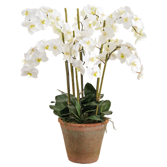 42" Phalaenopsis Orchid Silk Flower Arrangement w/Clay Pot -White - LFO585-WH