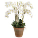 42" Phalaenopsis Orchid Silk Flower Arrangement w/Clay Pot -White - LFO585-WH