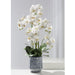 37" Silk Phalaenopsis Orchid Flower Arrangement w/Ceramic Vase -Cream/Green - LFO620-CR/GR