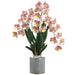 34" Silk Odontoglossom Orchid Flower Arrangement w/Ceramic Vase -Boysenberry/Yellow - LFO624-BB/YE