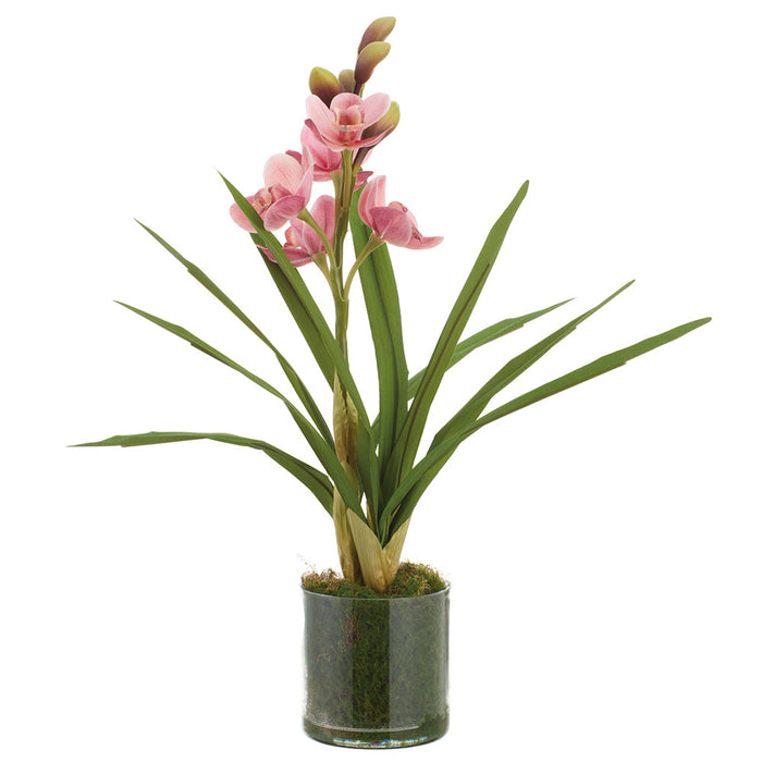18" Cymbidium Orchid Artificial Flower Arrangement w/Clear Plastic Pot -Peach/Pink (Pack of 4) - LFO680-PE/PK
