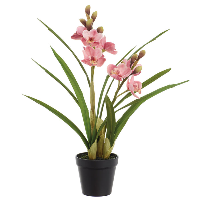 21" Cymbidium Orchid Silk Flower Arrangement w/Plastic Pot -Peach/Pink (Pack of 3) - LFO690-PE/PK