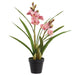 21" Cymbidium Orchid Silk Flower Arrangement w/Plastic Pot -Peach/Pink (Pack of 3) - LFO690-PE/PK