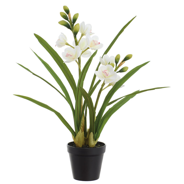 21" Cymbidium Orchid Silk Flower Arrangement w/Plastic Pot -White (Pack of 3) - LFO690-WH
