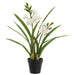 21" Cymbidium Orchid Silk Flower Arrangement w/Plastic Pot -White (Pack of 3) - LFO690-WH