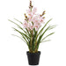 36.5" Cymbidium Orchid Silk Flower Arrangement w/Plastic Pot -Soft Pink (Pack of 2) - LFO695-PK/SO