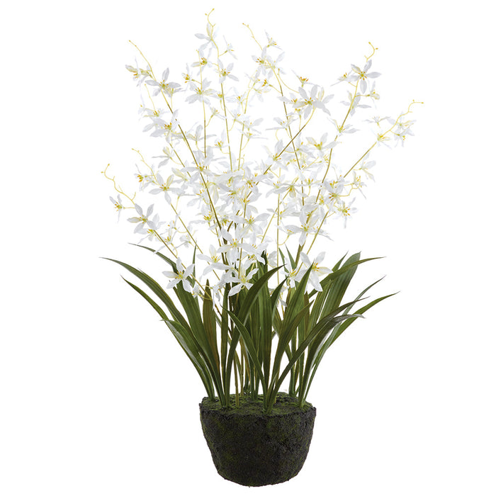 27" Dendrobium Orchid Silk Flower Arrangement w/Moss & Soil Ball -White (Pack of 4) - LFO763-WH