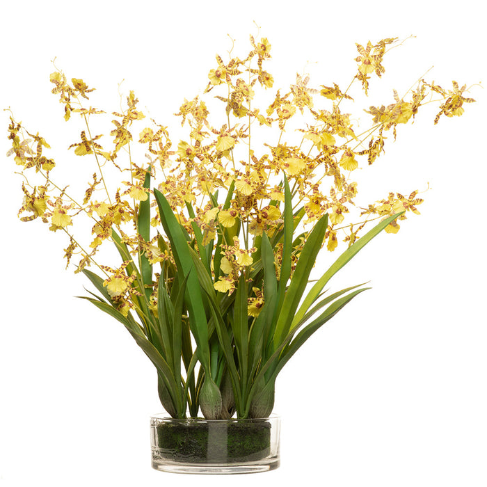 29" Oncidium Orchid Silk Flower Arrangement w/Glass Vase -Yellow - LFO802-YE