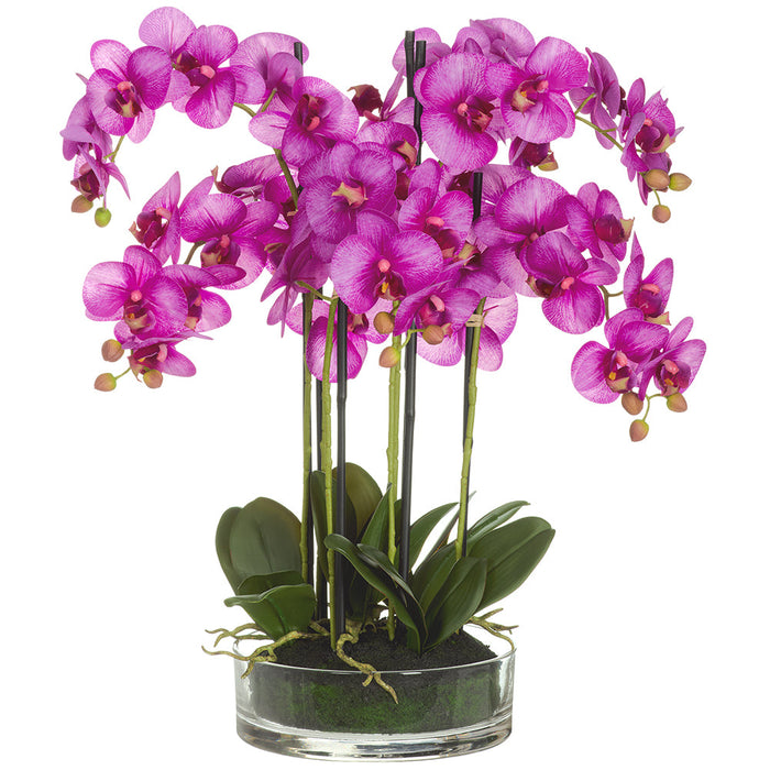 25" Phalaenopsis Orchid Silk Flower Arrangement w/Glass Vase -Orchid - LFO803-OC