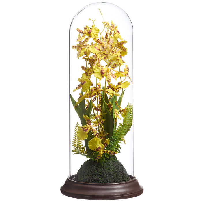 15" Oncidium Orchid Silk Flower Arrangement w/Glass Dome -Yellow (Pack of 4) - LFO805-YE