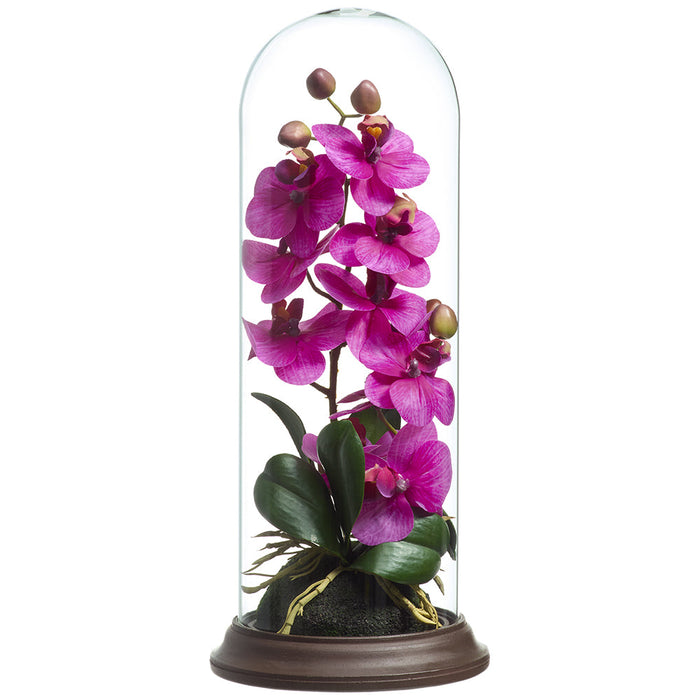 15" Phalaenopsis Orchid Silk Flower Arrangement w/Glass Dome -Orchid (Pack of 4) - LFO807-OC