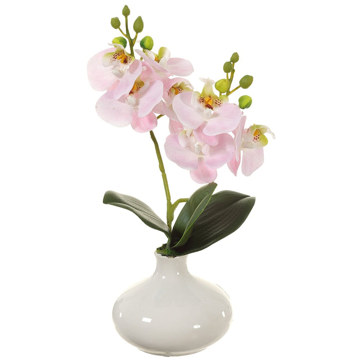 12" Silk Phalaenopsis Orchid Flower Arrangement w/Ceramic Vase -Pink (Pack of 2) - LFO816-PK