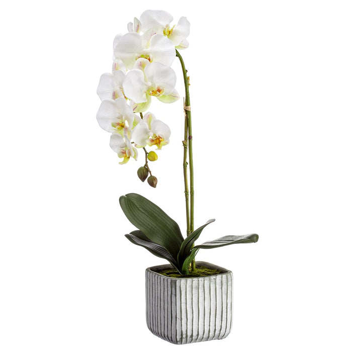 22" Silk Phalaenopsis Orchid Flower Arrangement w/Cement Pot -White (pack of 2) - LFO818-WH