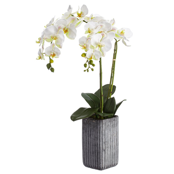 28" Silk Phalaenopsis Orchid Flower Arrangement w/Cement Pot -White (pack of 2) - LFO819-WH