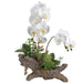 21" Silk Phalaenopsis Orchid & Succulent Flower Arrangement w/Cement Log -White/Green (pack of 3) - LFO883-WH/GR