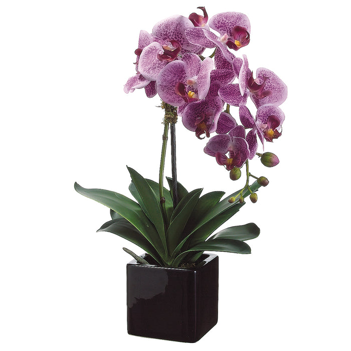 20" Phalaenopsis Orchid Silk Flower Arrangement -2 Tone Violet (pack of 4) - LFO987-VI/TT