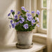 14.5" Pansy Silk Flower Arrangement w/Mgo Pot -Purple (Pack of 2) - LFP005-PU