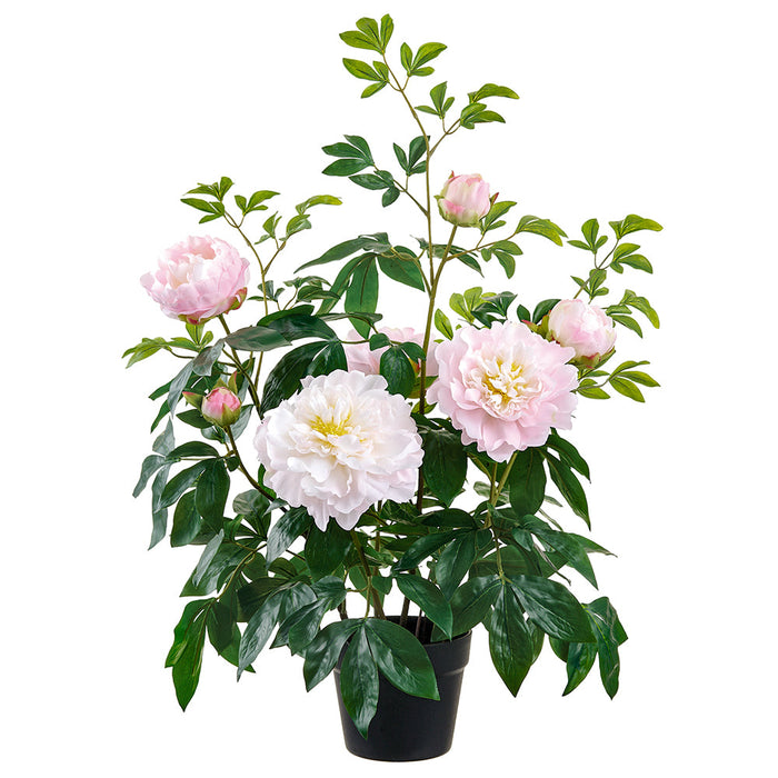30" Peony Silk Flower Plant w/Plastic Pot -Blush (Pack of 4) - LFP345-BS