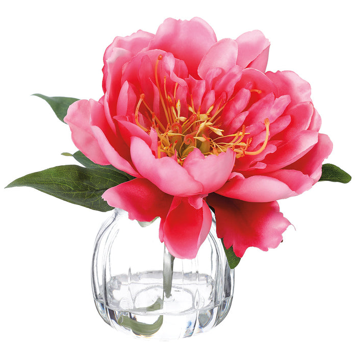 6" Peony Silk Flower Arrangement w/Glass Vase -Cerise (pack of 6) - LFP481-CE