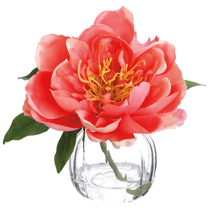 6" Peony Silk Flower Arrangement w/Glass Vase -Coral (pack of 6) - LFP481-CO