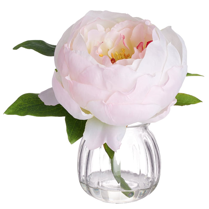 7.5" Silk Peony Flower Arrangement w/Glass Vase -Soft Pink (pack of 6) - LFP632-PK/SO