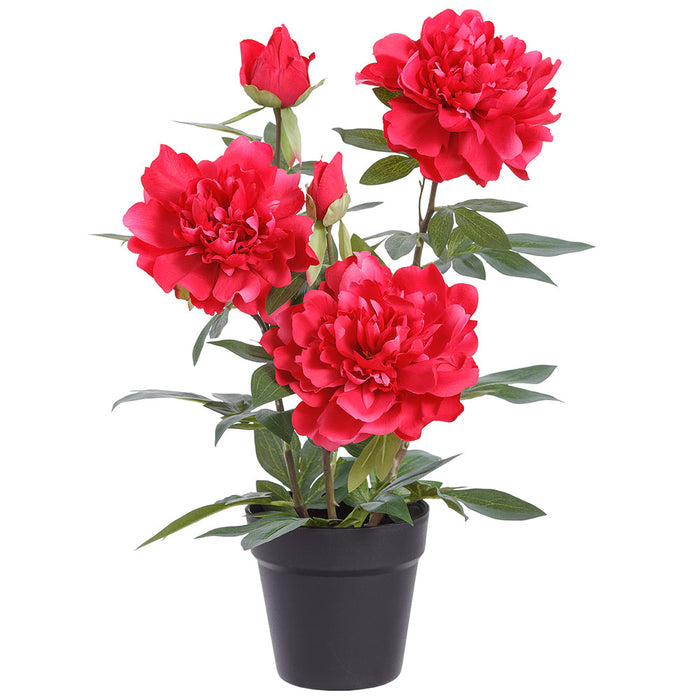 20.5" Peony Silk Flower Arrangement w/Plastic Pot -Cerise (Pack of 4) - LFP842-CE