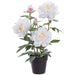 20.5" Peony Silk Flower Arrangement w/Plastic Pot -White (Pack of 4) - LFP842-WH