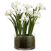 13" Silk Paperwhite Flower Arrangement w/Glass Vase -White - LFP940-WH