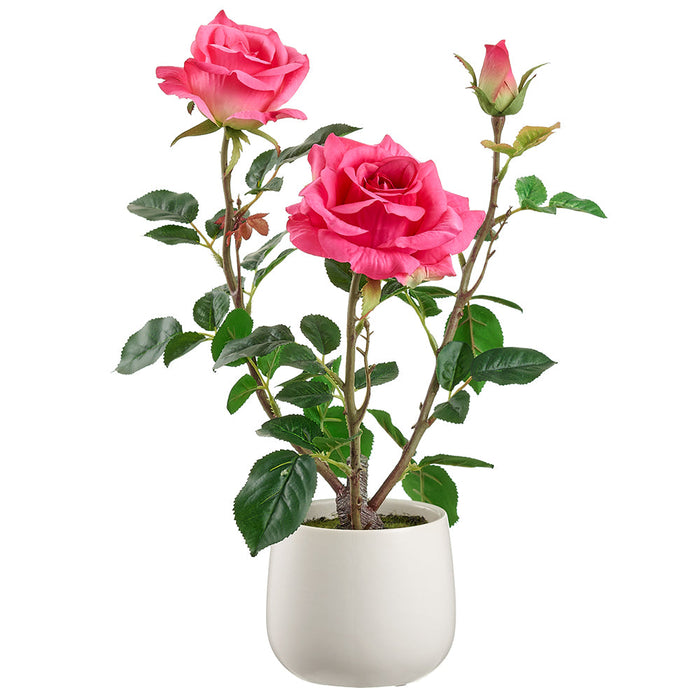 16.1" Rose Silk Flower Arrangement w/Ceramic Vase -Rose (pack of 2) - LFR003-RO