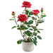 21.6" Rose Silk Flower Arrangement w/Ceramic Vase -Red (pack of 2) - LFR014-RE