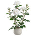 21.6" Rose Silk Flower Arrangement w/Ceramic Vase -White (pack of 2) - LFR014-WH