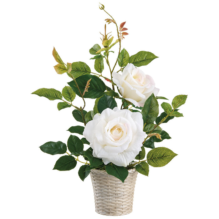 15.5" Rose Silk Flower Arrangement w/Plastic Pot -White/Blush (Pack of 6) - LFR205-WH/BS