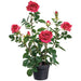 25.2" Rose Silk Flower Arrangement w/Plastic Pot -Red (Pack of 4) - LFR747-RE