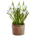9.5" Snowdrop Silk Flower Arrangement w/Clay Pot -White (Pack of 9) - LFS342-WH