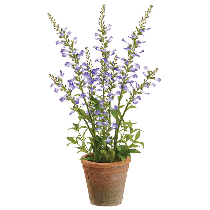 20" Flowering Sage Herb Silk Flower Arrangement w/Clay Pot -Purple (Pack of 4) - LFS576-PU