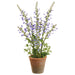 20" Flowering Sage Herb Silk Flower Arrangement w/Clay Pot -Purple (Pack of 4) - LFS576-PU