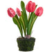 10.5" Tulip Silk Flower Arrangement w/Moss & Soil Ball -Crimson (Pack of 6) - LFT102-CS
