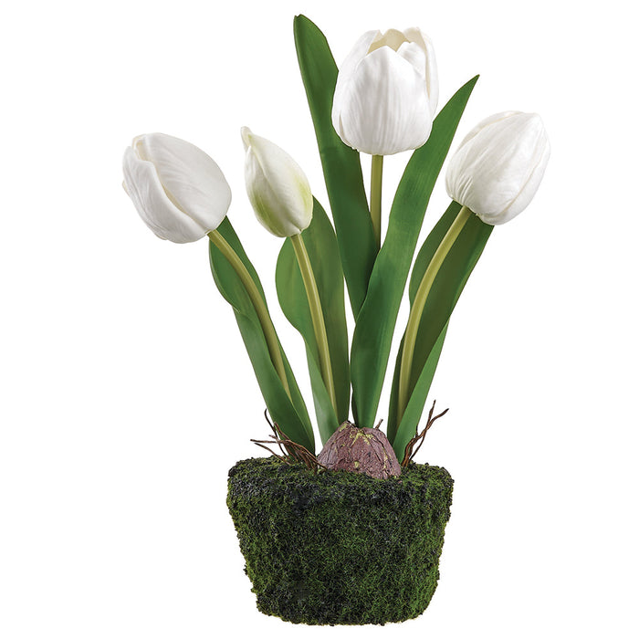 10.5" Tulip Silk Flower Arrangement w/Moss & Soil Ball -White (Pack of 6) - LFT102-WH