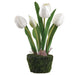 10.5" Tulip Silk Flower Arrangement w/Moss & Soil Ball -White (Pack of 6) - LFT102-WH